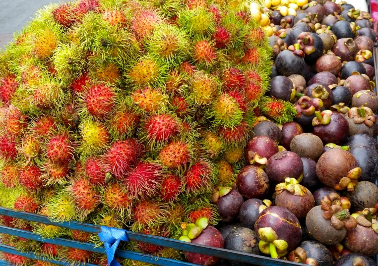 this fruit is being displayed at the market