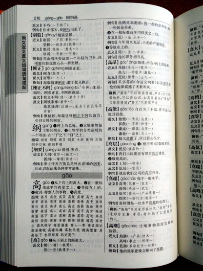 an open book with chinese writing on the pages