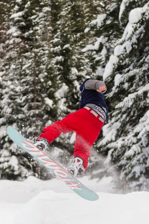 person jumping in the air on snowboard and snowy trees