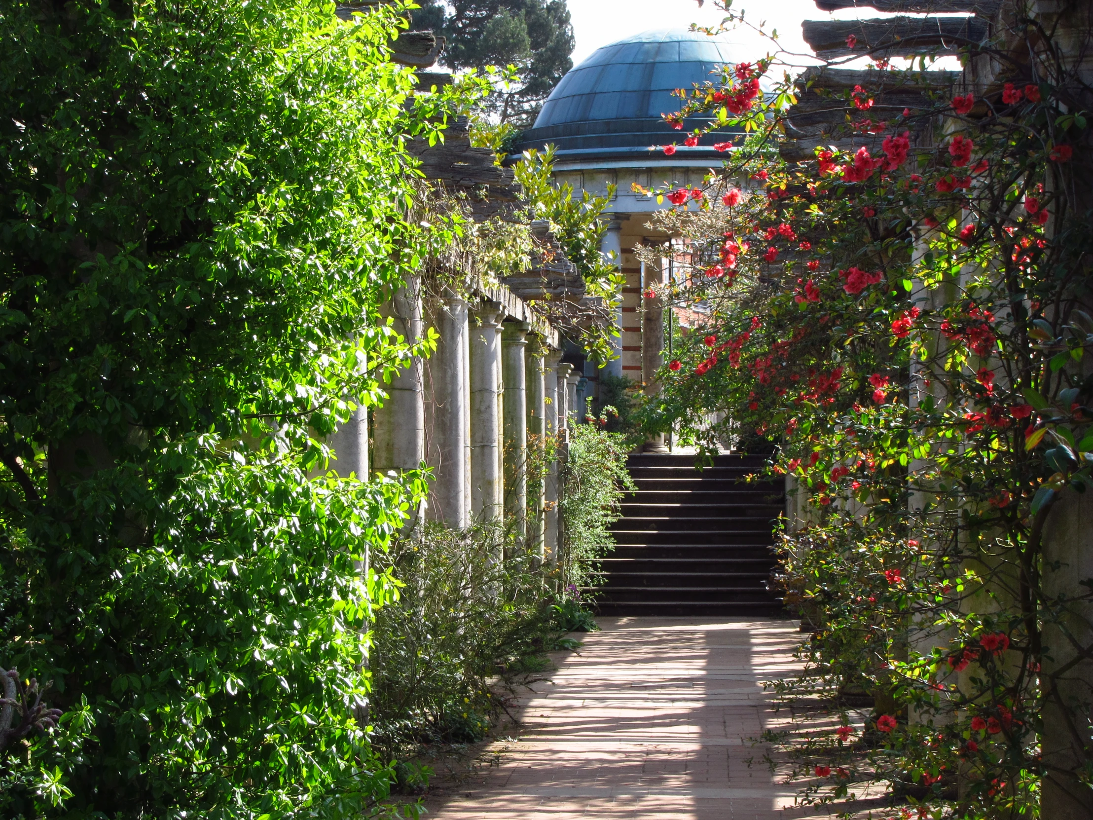 view of several steps and plants going along each side