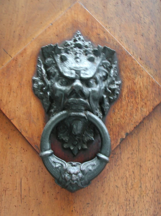 the door knockle has a lion head on it