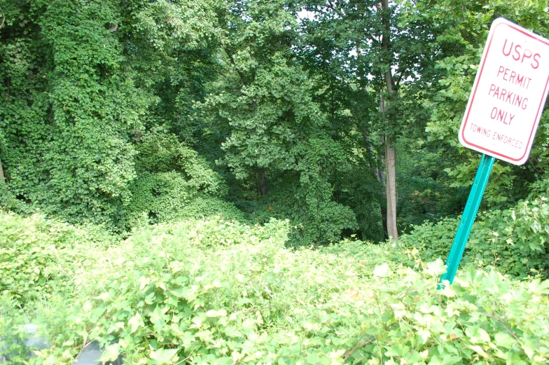 a red sign standing on top of a lush green forest