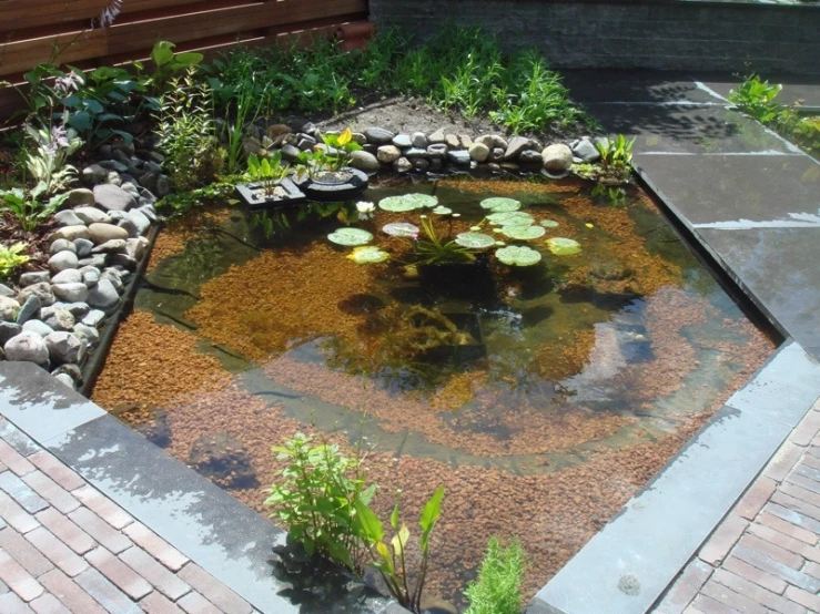 this pond has lily pads in it and has small gravel stepping steps around