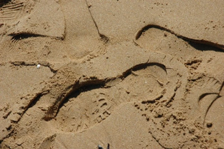 a person's footprints in the sand of the beach