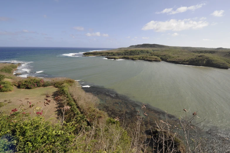 people are hiking along the edge of an area with seaweed