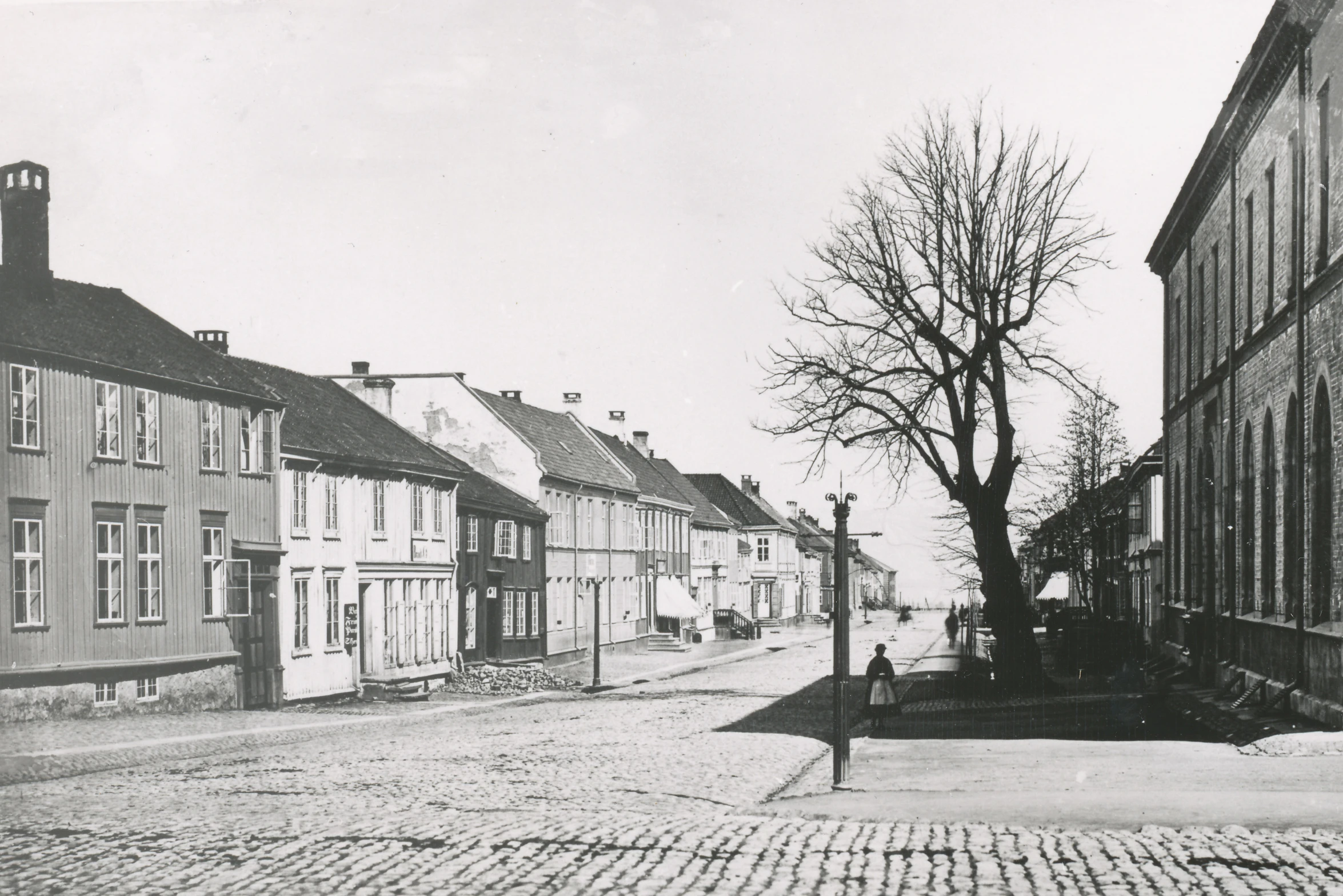 old city street with cobblestone sidewalks and a tree