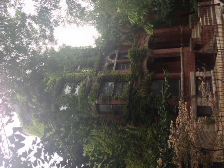 a large house with ivy covered walls next to trees