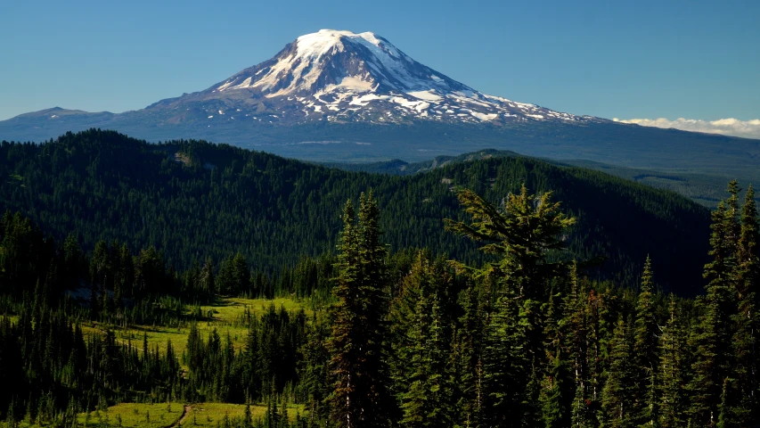 a mountain sits above some trees and mountains