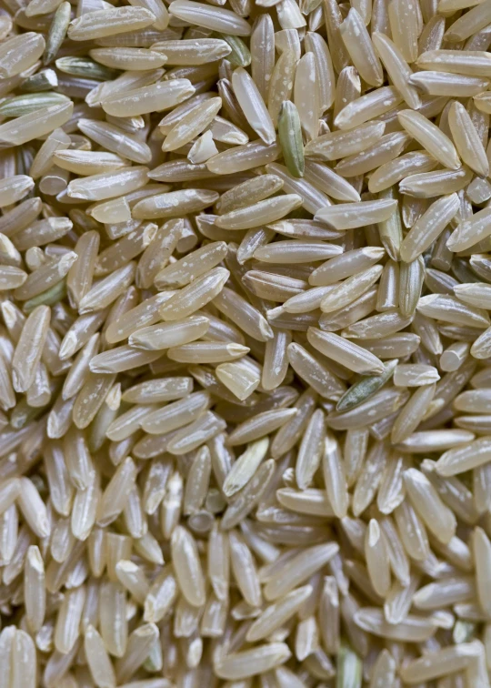 several stalks of rice mixed together in a dish