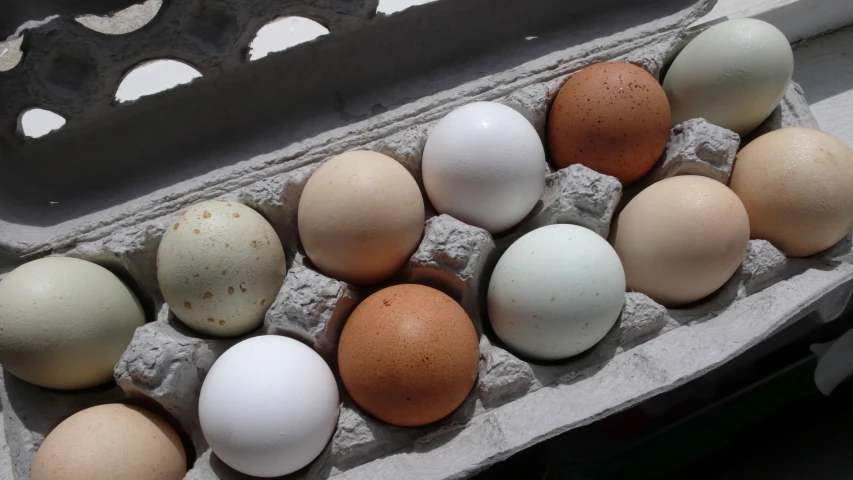 an egg carton filled with lots of brown and white eggs