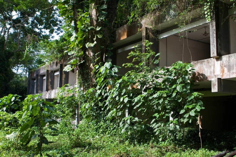 there is a building with a lot of plants growing from the sides