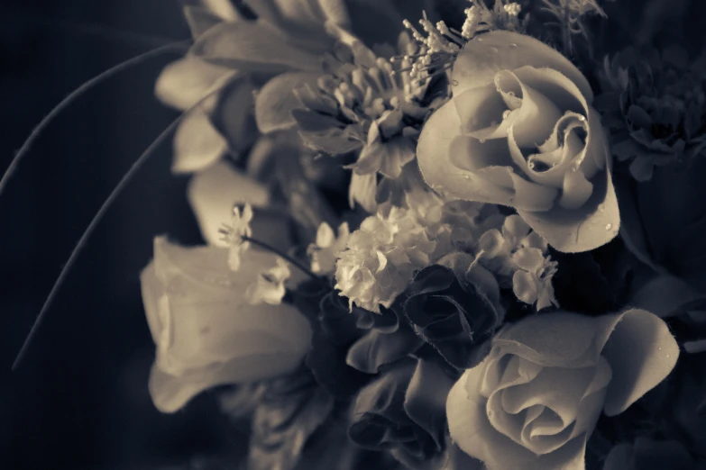 black and white pograph of white roses in an arrangement