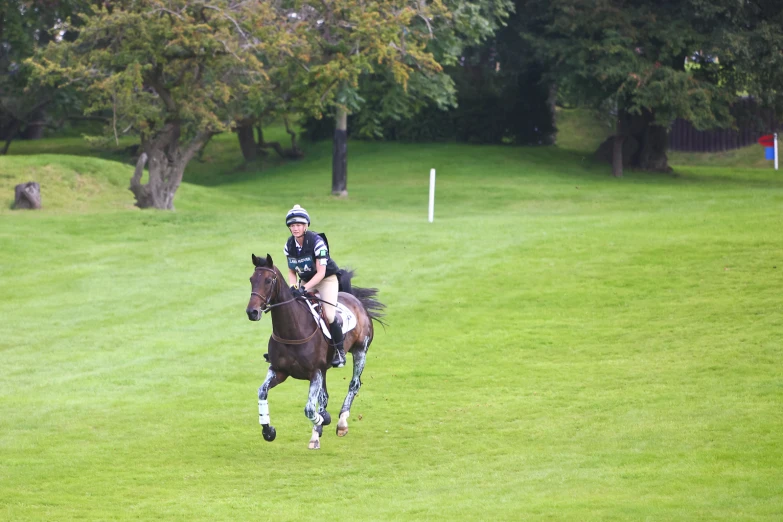 there are two people riding horses on the grass