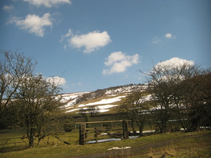 snowy mountain behind a forest on a sunny day