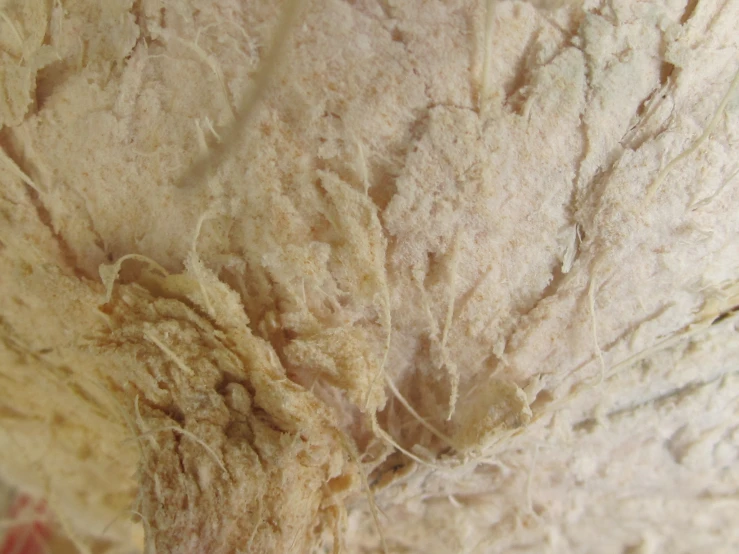the base of the fuzzy wool and its contents
