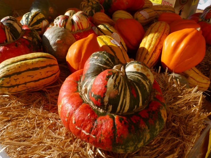 a display of pumpkins are displayed in a pile