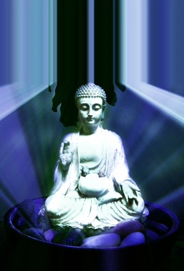 the statue is sitting in the bowl with the purple background