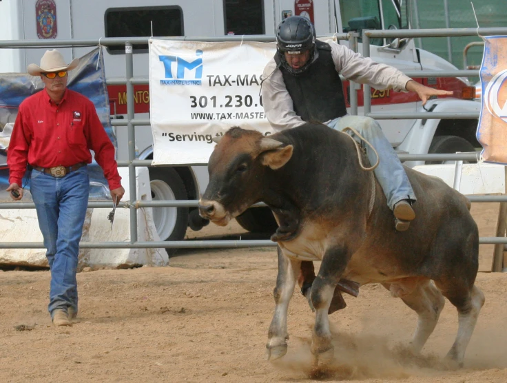 a man riding a bull inside a fence