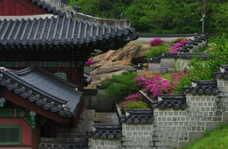 an ancient garden with pink flowers in pots and asian architecture