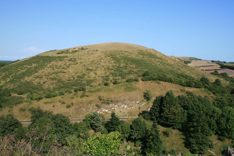 a field is shown on a hill with grass and trees