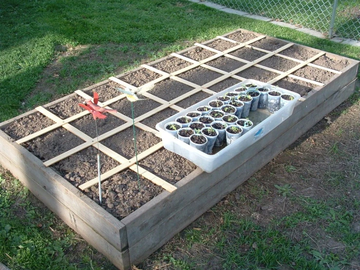 a large wooden frame with little trees planted in it