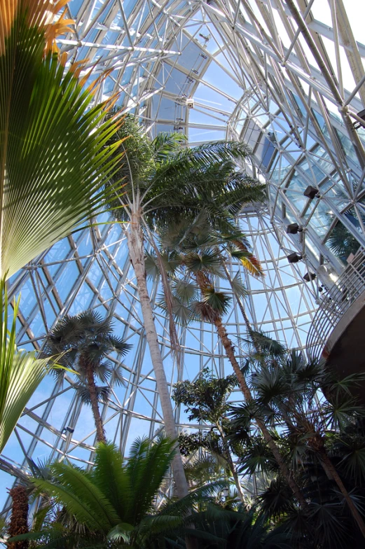 an inside view of a building with palm trees