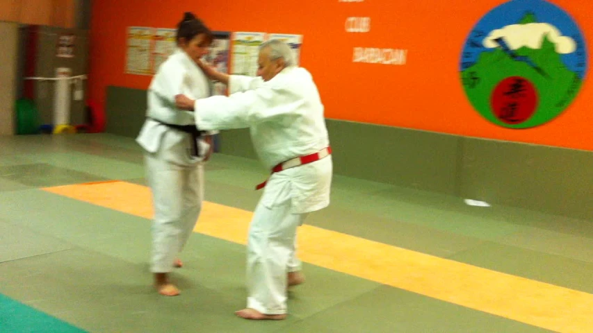 the two people are engaged in karate