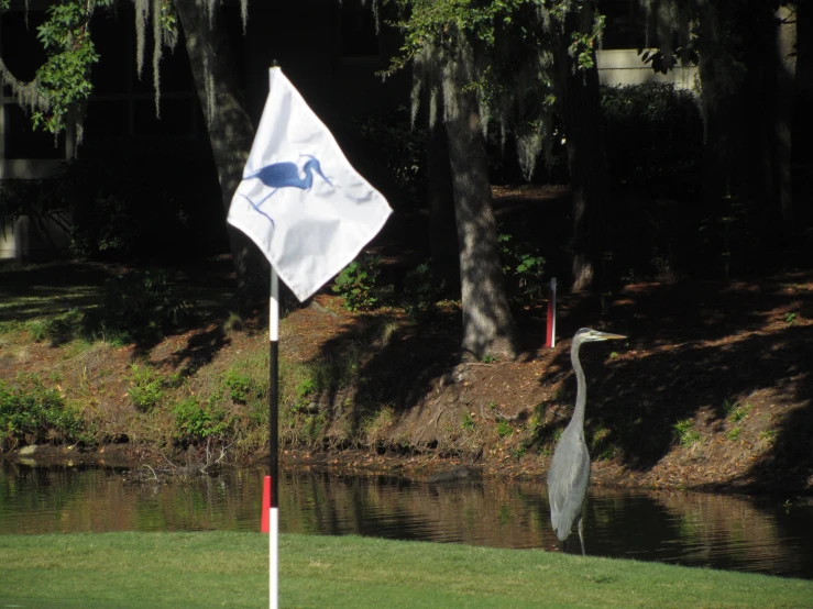 a flag with a bird logo is beside the water