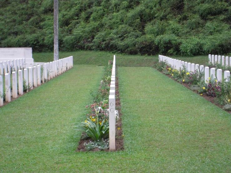 a row of graves are in the grass