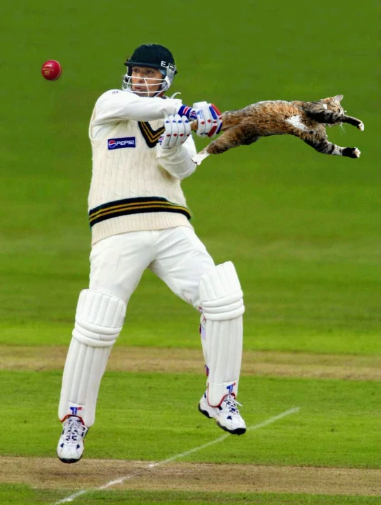 a man swinging a bat with an animal in the background