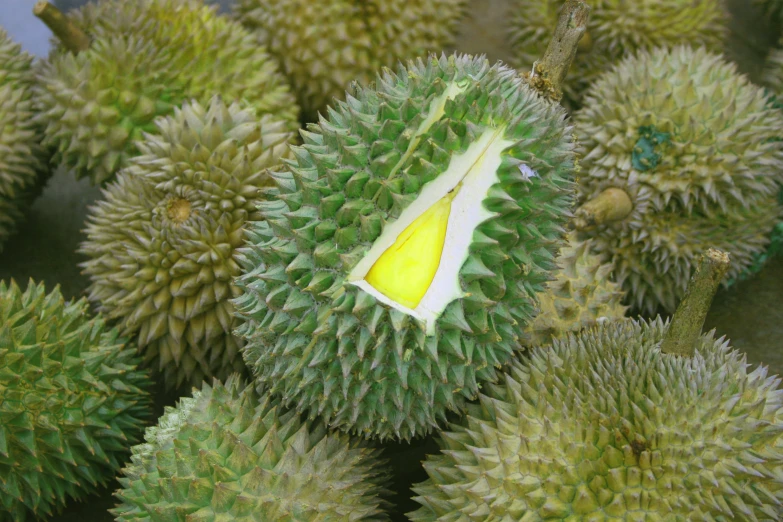 a group of various types of fruit sitting on display