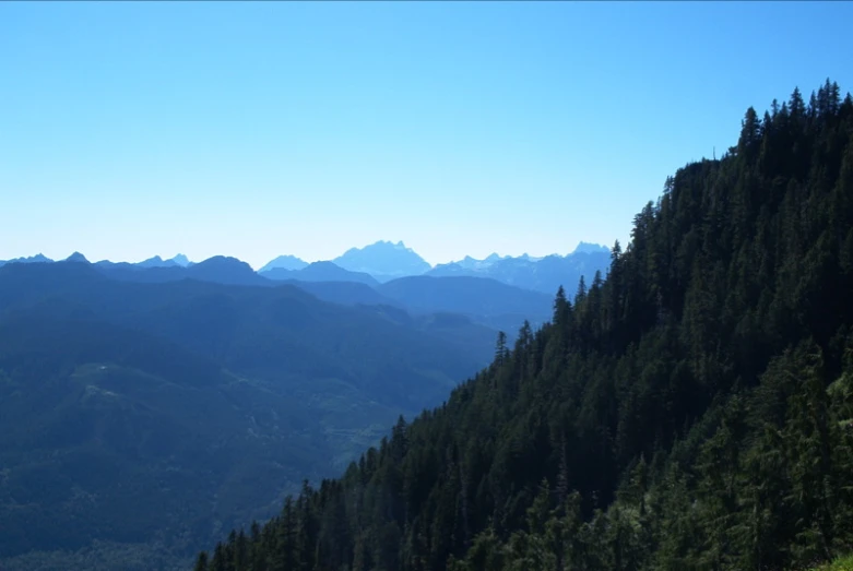 a group of green trees in the foreground with mountains in the background