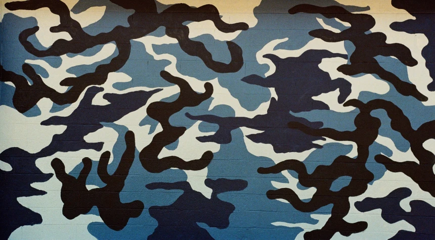 a close up view of the camouflage print of a jacket