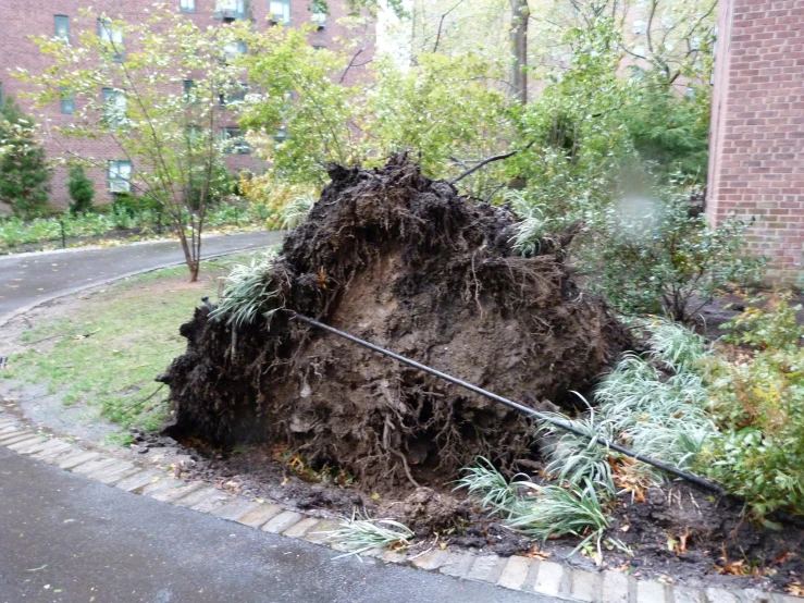 a pile of dirt in a street next to trees