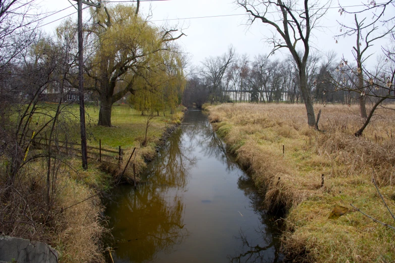 a stream flows down to the bank of the river