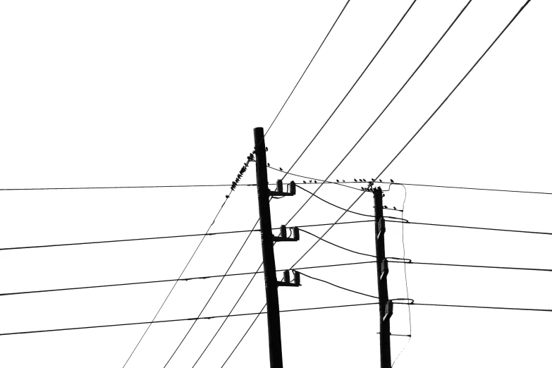 an image of electric wire with one power line