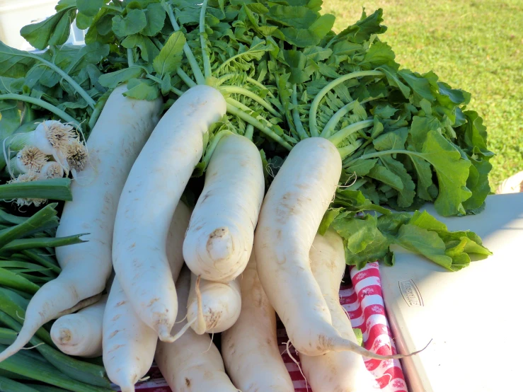 some very pretty white vegetables on a big tray