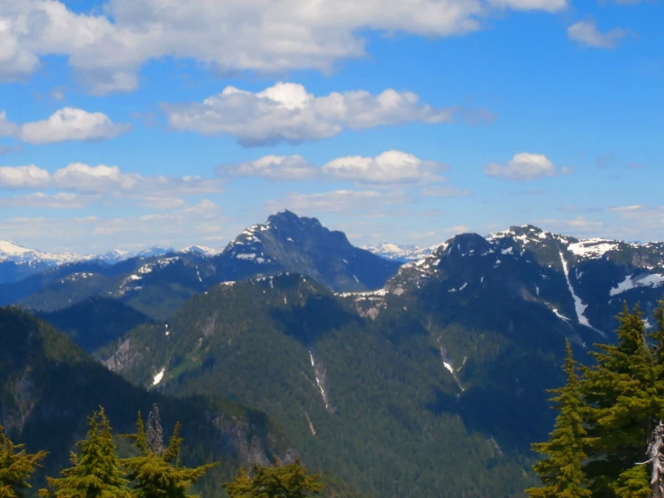 some mountains that are covered in snow and trees