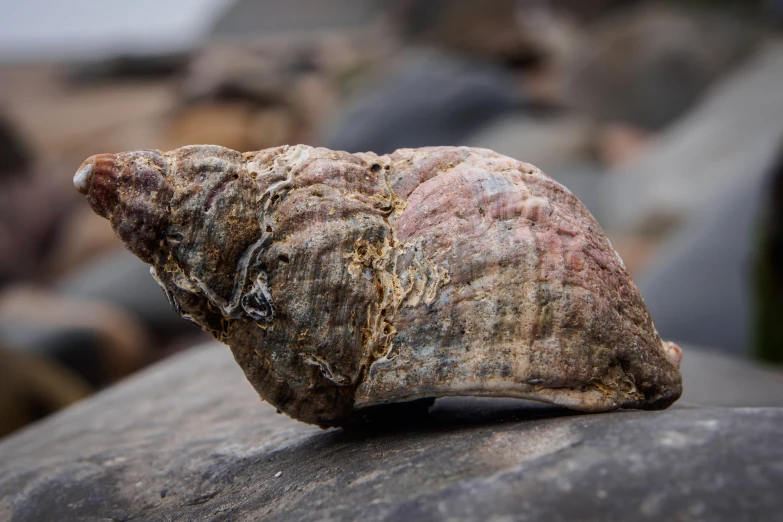 the object is on the rock and very old