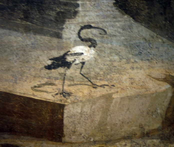 a bird that is standing on a slab of stone