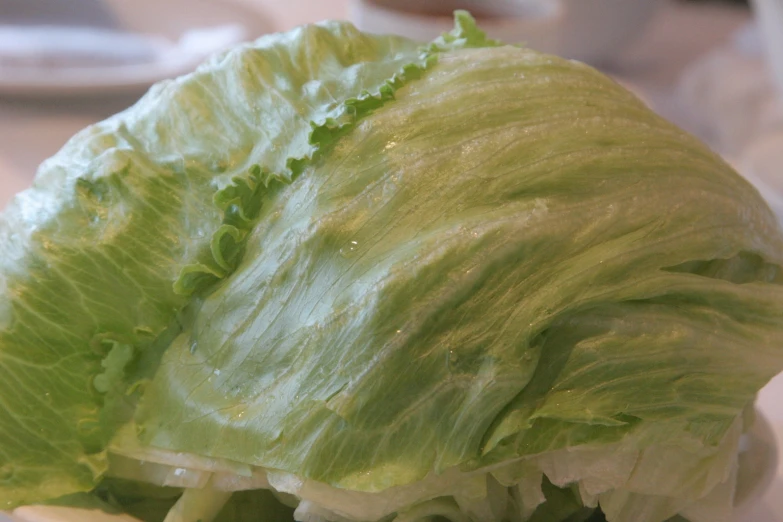 a head of cabbage with very little green leaves