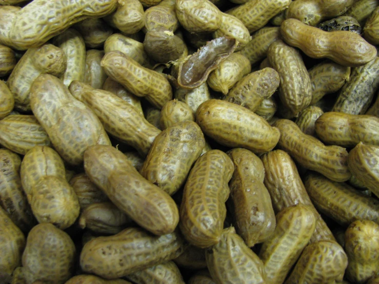 a pile of peanuts is covered with brown spots