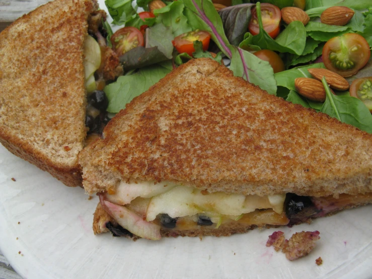 a close up of a grilled cheese sandwich on a plate with salad