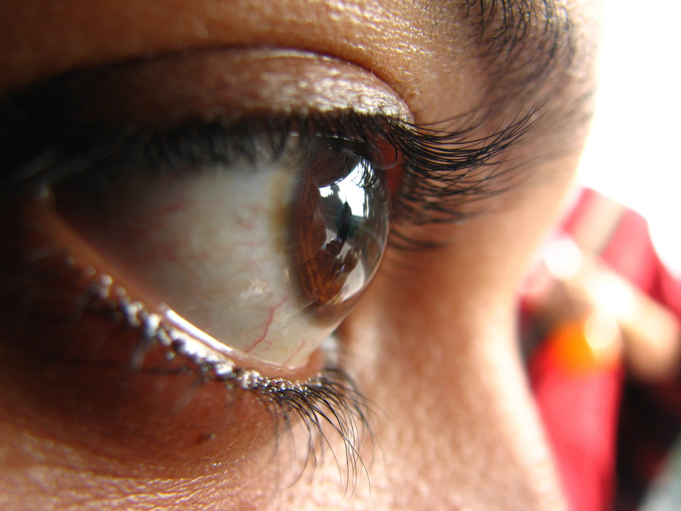 closeup of an eye reflecting the light