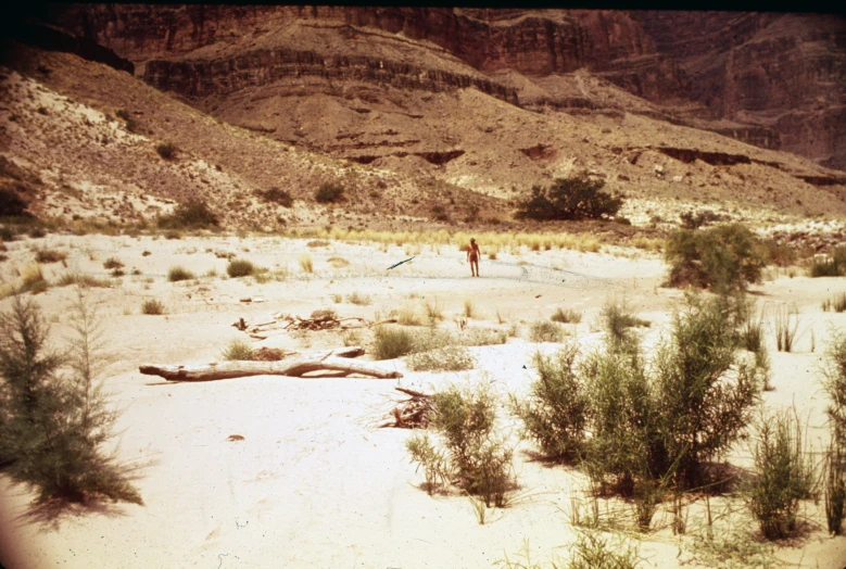 there are people standing in the desert alone