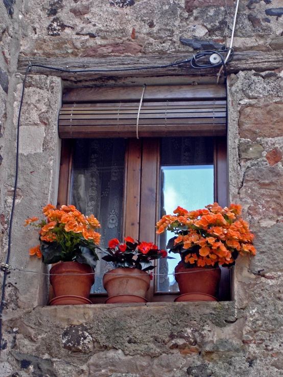 two pots filled with flowers are sitting on a window sill