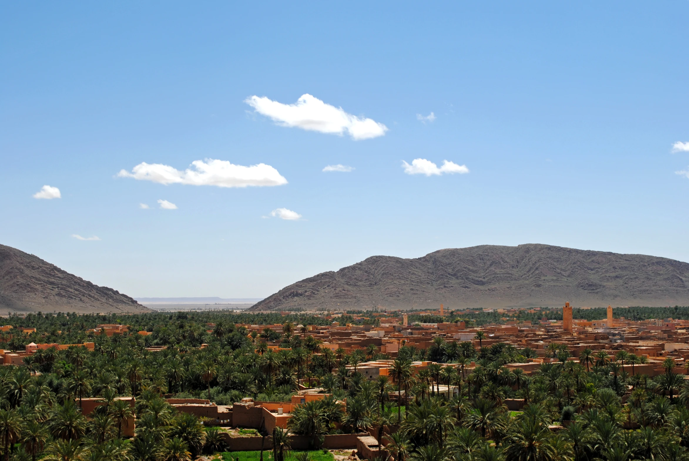 mountains and valleys in a city surrounded by trees