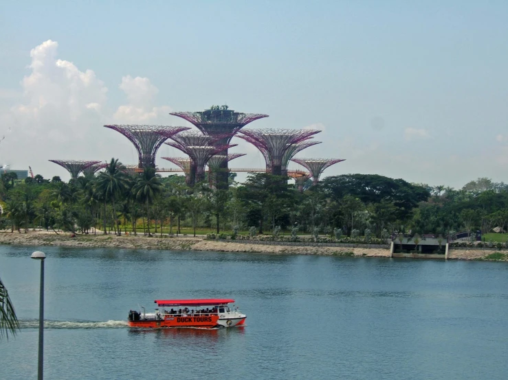 a small boat traveling past some giant trees