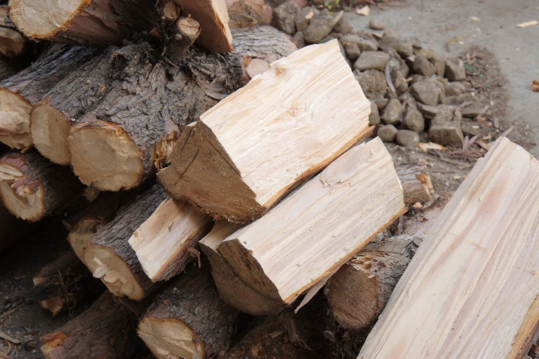 large wood piles that have been cut down