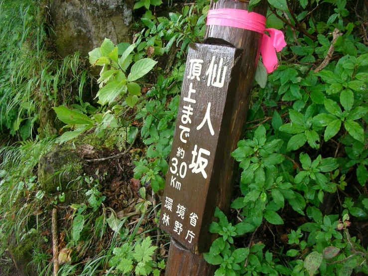 a sign on a post in the middle of some vegetation